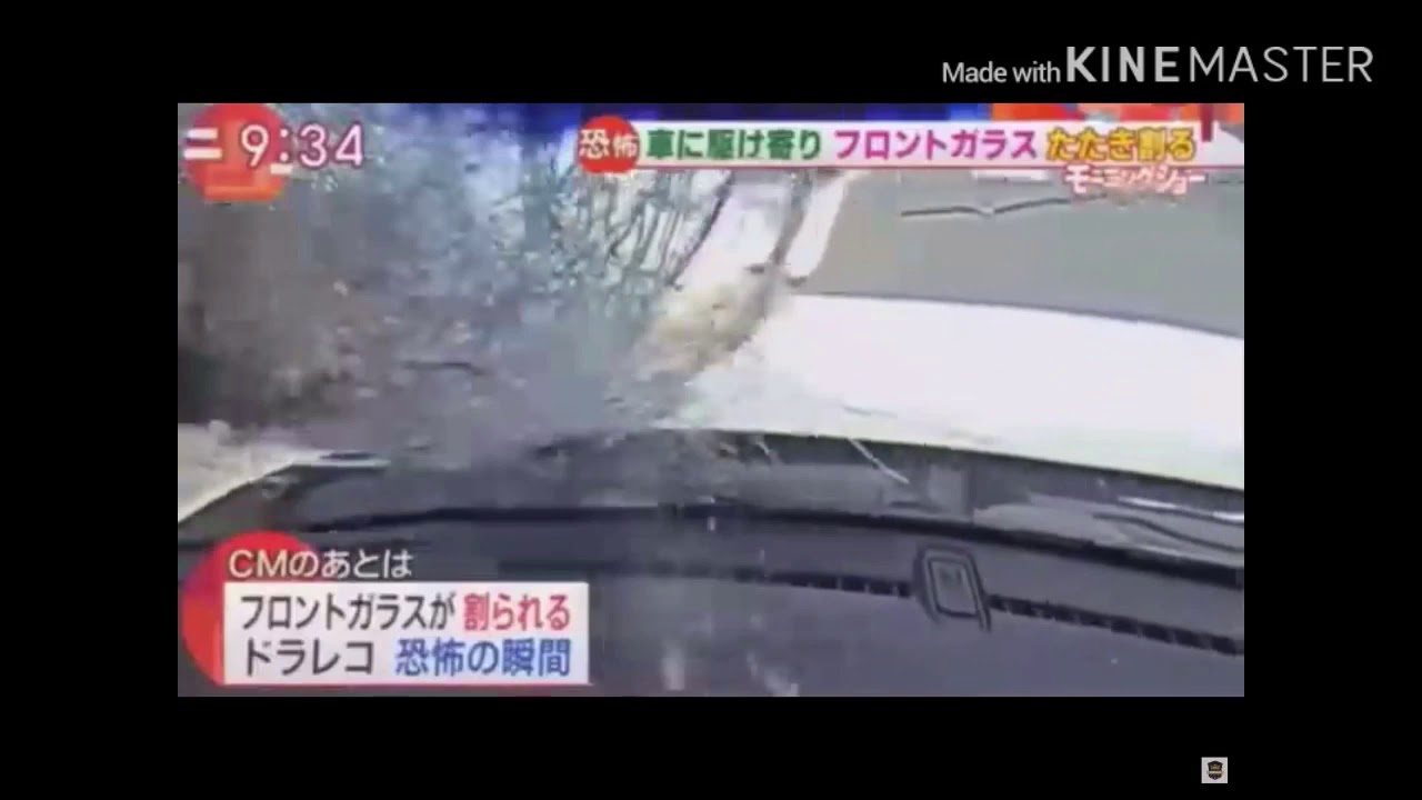 フロントガラス男 再生 逆再生 5分耐久 Youtube フロントガラス男 再生 逆再生 5分耐久 Youtube