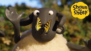 Bugs Life! 🐑 Shaun the Sheep 🐑 - Cartoons for Kids 🐑 Full Episodes Compilation [1 hour]