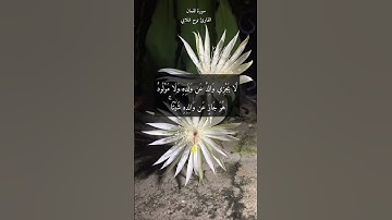 آية ٣٣ "يا آيها الناس اتقوا ربكم واخشوا يوما" من سورة لقمان | اللهم لا تجعنا نخاف إلا سواك