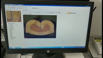 Terminal Cross Section Analysis System