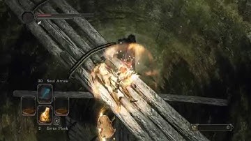 DARK SOULS II SotFS: How to get to the bottom of the Well