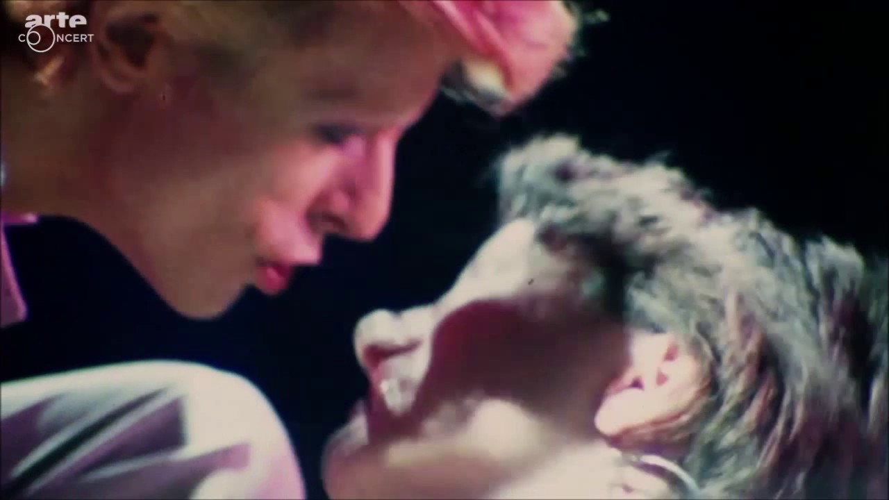 KISS CLEAN DAVID BOWIE HD DAVID LIVE 74 YOUNG AMERICANS 75 DIAMOND DOGS 74 - YouTube