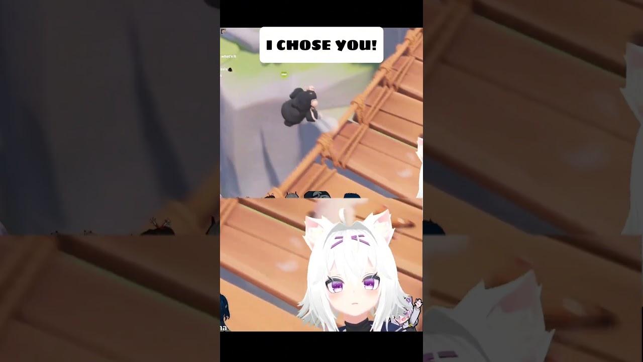 I Choose You!