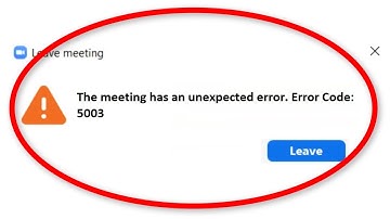 ZOOM - Leave Meeting - The Meeting Has An Unexpected Error. ( Error Code 5003) - How To Fix