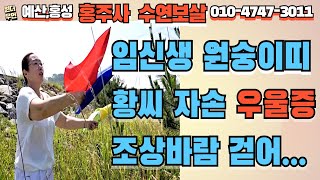 [예산점집] 리얼사례 임신생 원숭이띠 황씨 자손 우울증 조상바람 걷어...