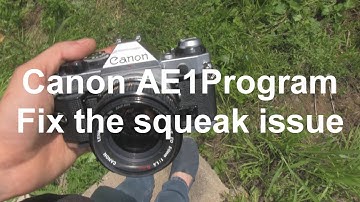 How to fix the Canon AE1 Program and A1 squeak issue. Quick and easy way to do it yourself.