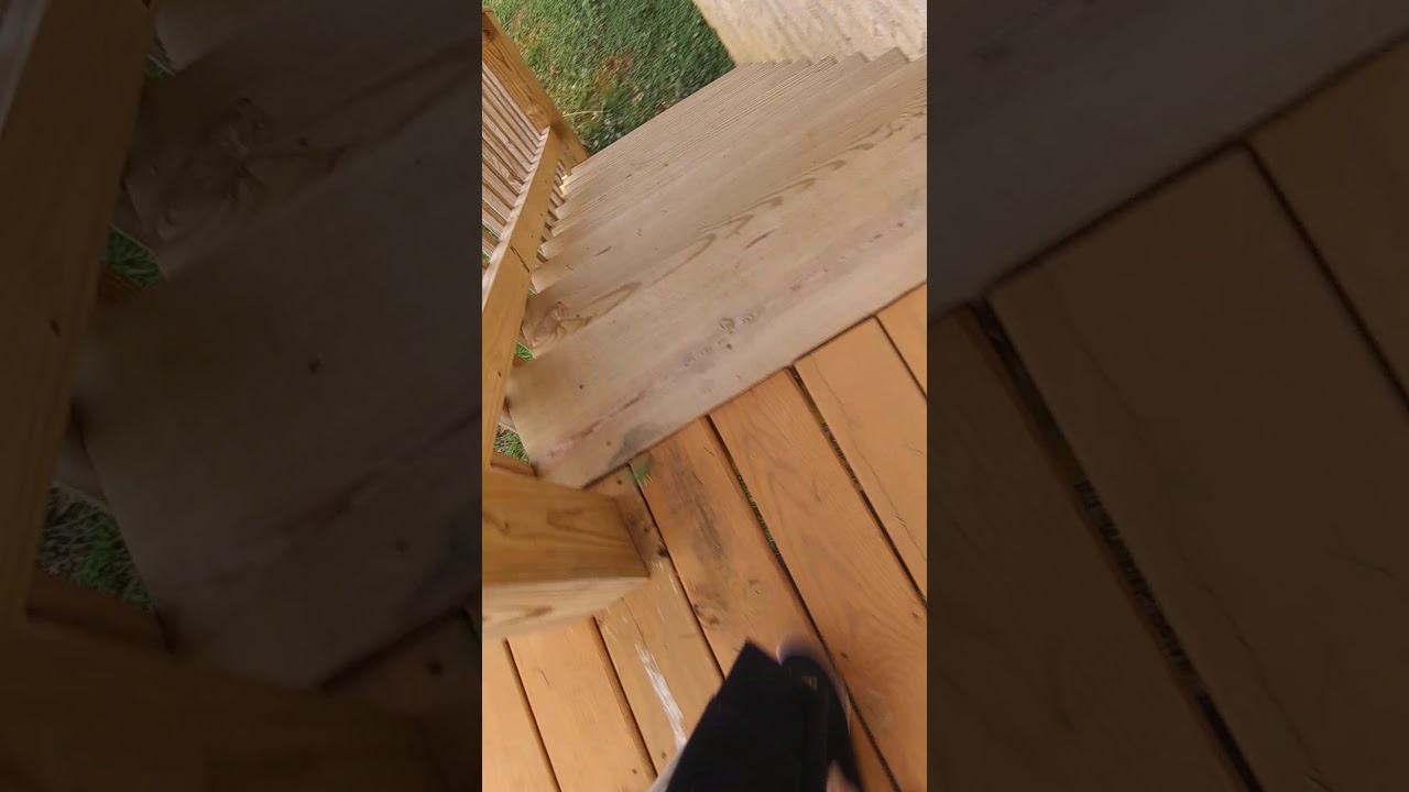 tree throwing contest! YouTube