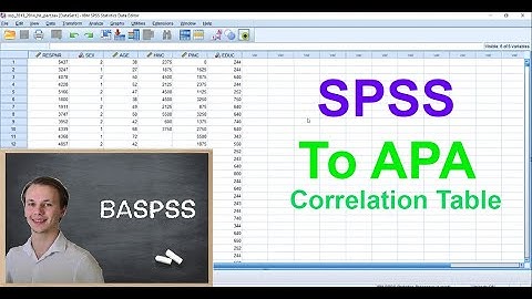 SPSS To APA - Correlation Table