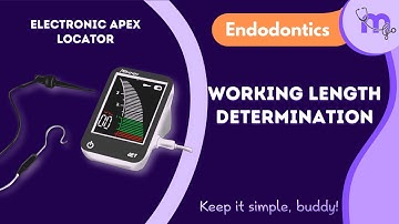 Working Length Determination | Electronic Apex Locator | Endodontics | Animated explanation