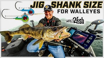 Jig and Minnow Walleyes | Best Jig Hook Shank Size