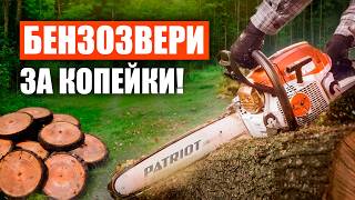 Лучшие бензопилы до 10 000 рублей! Рейтинг цепных пил для дома и дачи в 2025 году!