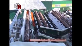 Статистика центра занятости Статистика центра занятости