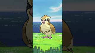 Analyzing Pidgey #pokemon #pidgey #pidgeotto #pidgeot #creaturedesign #gen1 Analyzing Pidgey #pokemon #pidgey #pidgeotto #pidgeot #creaturedesign #gen1