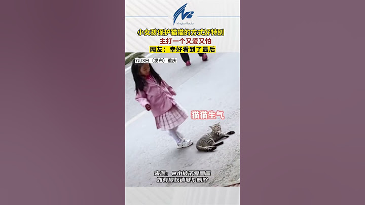 小女孩保护猫咪，主打一个又爱又怕