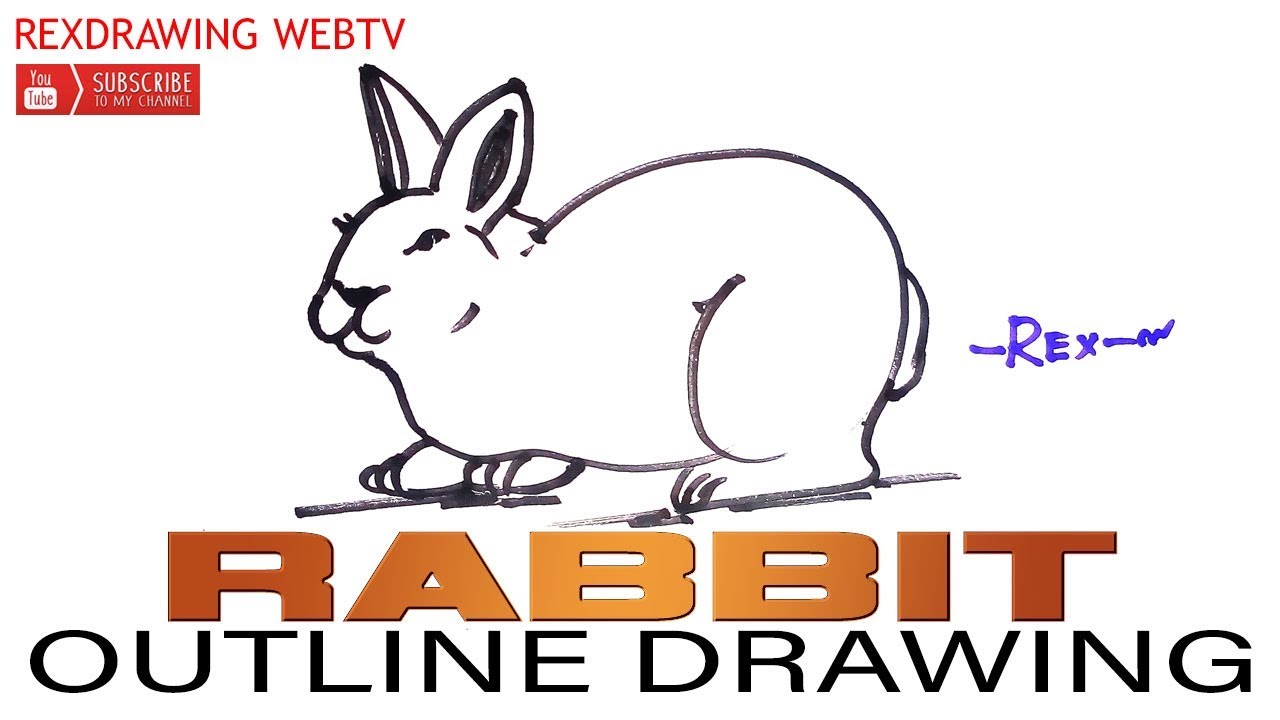 How to draw a rabbit or bunny outline | easy step by step beginners