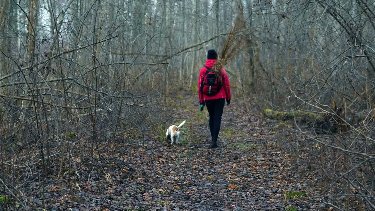 Gloomy Sunday with Panasonic GH5 and kit lens [4k]