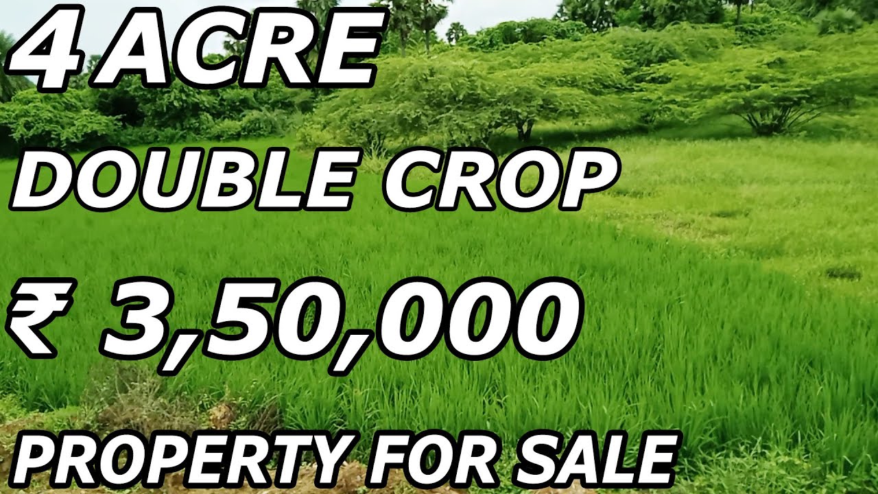 4 ACRE OPEN LAND AND AGRICULTURAL PROPERTY FOR SALE PER ACRE ₹ 3