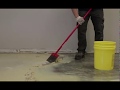 Removing Carpet & Carpet Adhesive with Sentinel 626