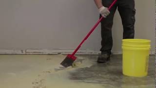 Removing Carpet & Carpet Adhesive with Sentinel 626