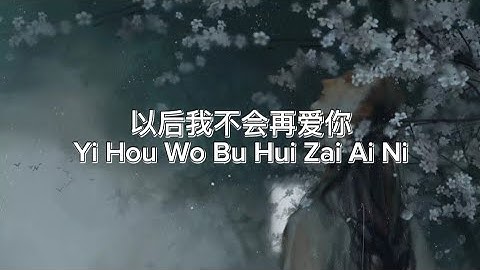 以后我不会再爱你 Yi Hou Wo Bu Hui Zai Ai Ni