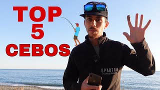 🪱 Mi TOP 5 de CEBOS para Surfcasting | Pesca