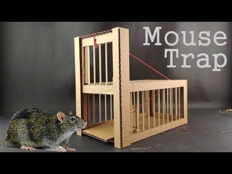 Diy Mouse Trap From Cardboard You - Making A Diy Humane Mouse Trap
