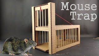 DIY Mouse Trap from Cardboard