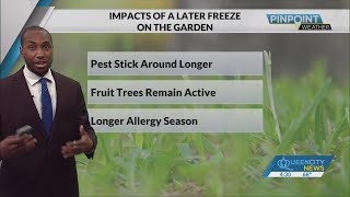 With no fall freeze in sight locally, how will this impact local gardeners?