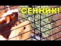 Как сделать сенник для морской свинки: DIY / SvinkiShow