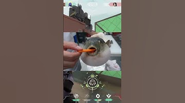 OMEN 4K ON BIND #valorant