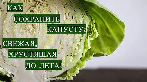 ВСЮ ЗИМУ БУДТО ТОЛЬКО С ГРЯДКИ! КАК СОХРАНИТЬ КАПУСТУ НА ЗИМУ ДО ЛЕТА!