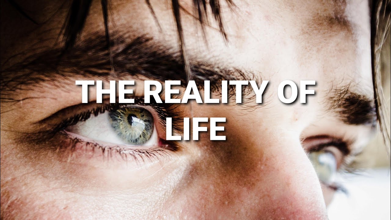 THE REALITY OF LIFE