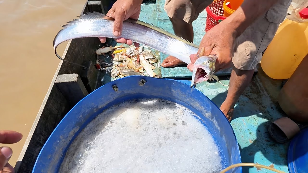 Trải Nghiệm 1 Ngày Sóng Gió Cùng Thầy Hai Ngoài Cửa Biển || Giang Ca SB # 107