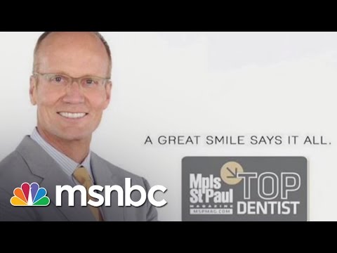 The Dentist Who Killed Cecil The Lion | Andrea Mitchell | MSNBC