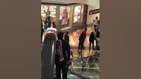 28789873_345658625920230_3115690931467059200_n (1).mp4