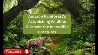 Amazon Rainforest's Astonishing Wildlife: Discover the Incredible Creatures