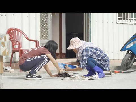 第35屆／點燃生命之火／我是阿嬤的女兒