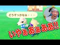 【あつ森】推しが島を出て行くと知って壊れる実況者【生放送】
