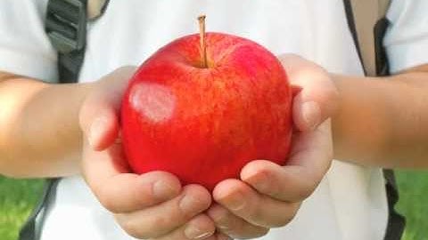 TEDxNYED Casting Call