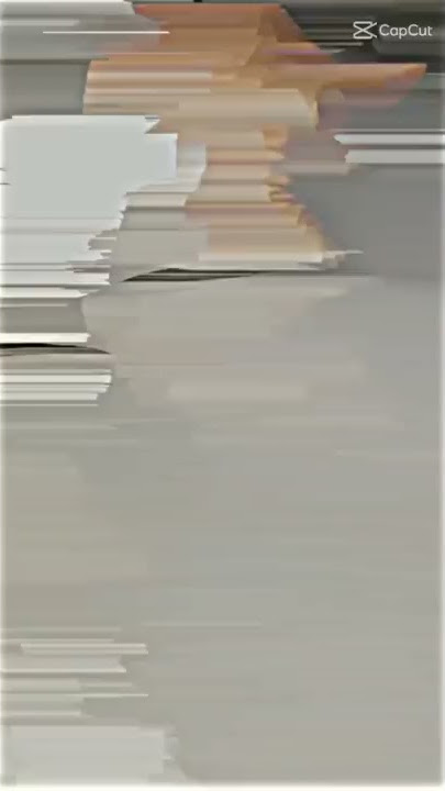 kucing oyen jagoan nih boss sengol dong 😎 #benteam