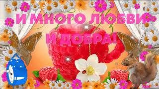 ☀️🌷ДОБРОЕ УТРО. С ДОБРЫМ ЛЕТНИМ УТРОМ! Доброе Утречко Хорошего Дня