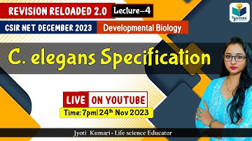 Revision Reloaded 2.0 | C elegans Specification | CSIR Dec 2023 | Lecture 4