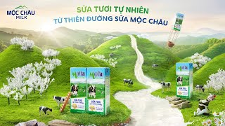 SỮA TƯƠI TIỆT TRÙNG MỘC CHÂU MILK - 100% SỮA TƯƠI NGUYÊN CHẤT TỪ THIÊN ĐƯỜNG SỮA MỘC CHÂU