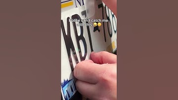 This Nanofilm License Plate Sticker is taking the market by storm!
