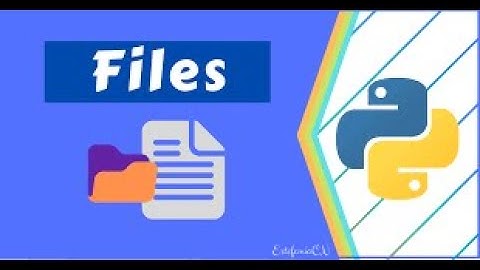 Extract file name from path, no matter what the os/path format | File separator by python