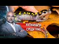 Ихтиандры среди нас.  "Как устроен мир" с Тимофеем Баженовым. (16.11.2021)