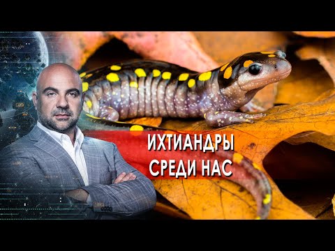 Ихтиандры среди нас.  "Как устроен мир" с Тимофеем Баженовым. (16.11.2021)