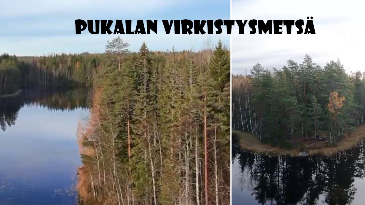 Pukalan virkistysmetsäretki - yön yli