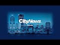 Citynews live stream