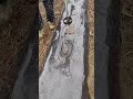 DIY Smart Tool for Perfect Mulch Hole Spacing 🌱 Genius Farming Method
